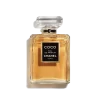 Coco Eau De Parfum - 100 ML