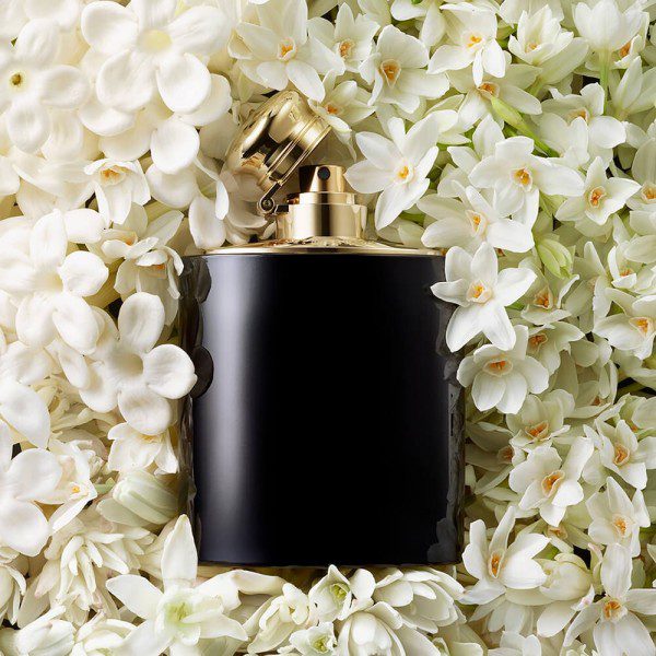 Woman Intense Ralph Lauren Eau de Parfum - Perfume Feminino 100ml - Imagem 3