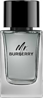 Mr. Burberry Eau de Toilette - Perfume Masculino 100ml