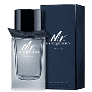 Mr. Burberry Indigo Eau de Toilette - Perfume Masculino 100ml