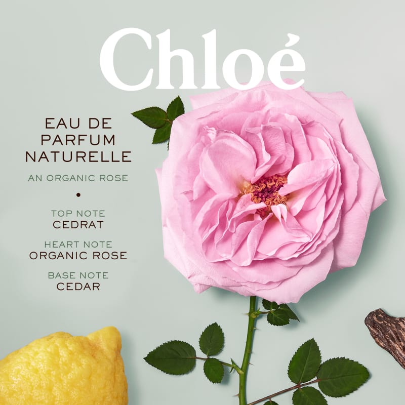 Naturelle Chloé Eau de Parfum - Perfume Feminino 100ml - Imagem 7