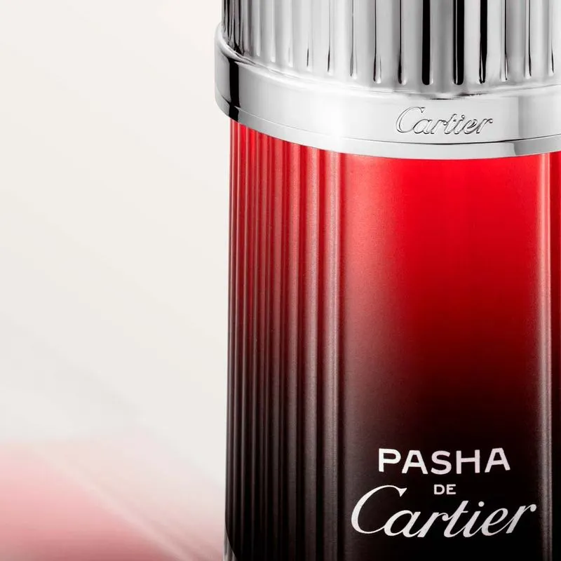 Pasha Edition Noire Sport Cartier Eau de Toilette - Perfume Masculino 100ml - Imagem 4