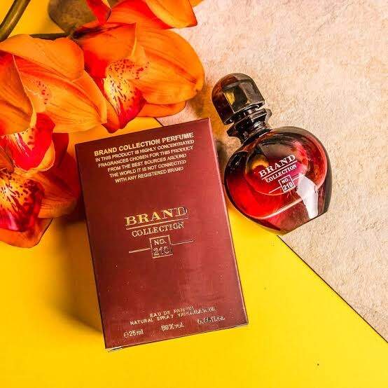 Brand Collection Nº 210 – Black XS 25 ml