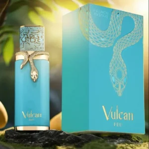 Vulcan FEU Lancamento